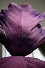 Artificial Crepe Paper Flowers. Big Petals of Iris Flower. Selective Focus.
