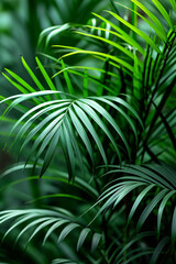 Tropical leaves background, green leaves background, Tropical leaves background