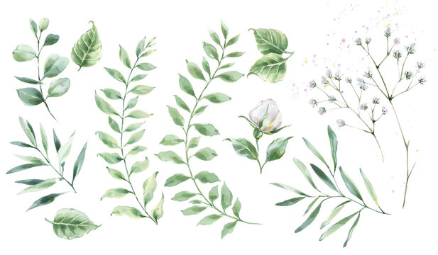 Green leaves watercolor clipart. Eucalyptus greenery and baby's breath flowers. Wedding invitations, romance illustration, floral pattern.