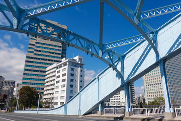 Fototapeta premium 隅田川に架かる名橋 永代橋(東京都江東区)