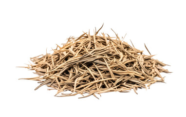 A collection of sticks stacked on top of each other in disarray, creating a messy pile on a plain white background. The sticks vary in size and shape, with some broken and others intact.