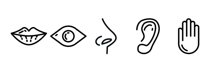 5 human senses icon collection set. Vector illustration