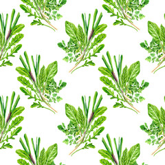 Seamless pattern of fresh Sorrel, Arugula salad, sprig of parsley, green onions watercolor composition. Illustration on white background. Hand drawn herbs vegetables. Food realistic botanical art.