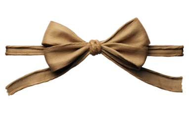 A brown bow stands prominently against a clean, white background. The simplicity of the colors highlights the intricate details of the bow, adding a touch of elegance to any gift or decoration.