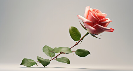 Smoky rose of pink shades with green leaf on gray background.