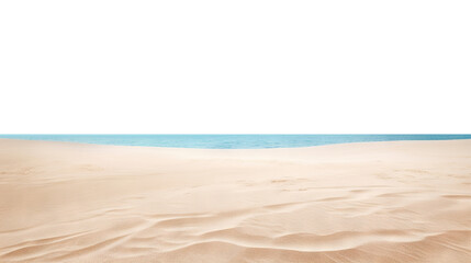 Serene beach view showcasing golden sandy shoreline and calm blue ocean, cut out