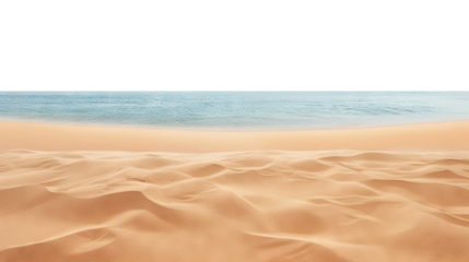 Serene beach view showcasing golden sandy shoreline and calm blue ocean, cut out
