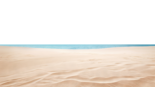 Serene beach view showcasing golden sandy shoreline and calm blue ocean, cut out