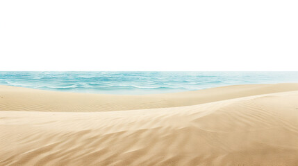 Serene beach view showcasing golden sandy shoreline and calm blue ocean, cut out