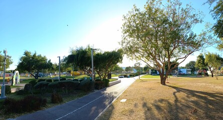 Outdoor Nature park trees 
