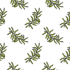 Moss twig hand drawn doodle pattern PNG.