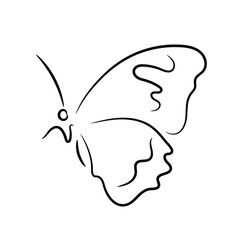 Beautiful butterfly side view outline