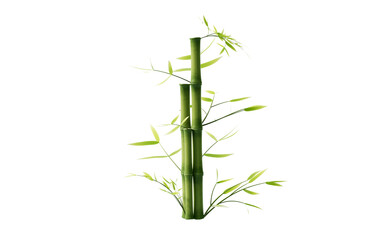 Isolated green bamboo element, 3d rendering.