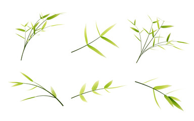 Isolated green bamboo element, 3d rendering.