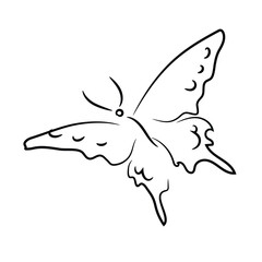 Beautiful butterfly flying, black outline
