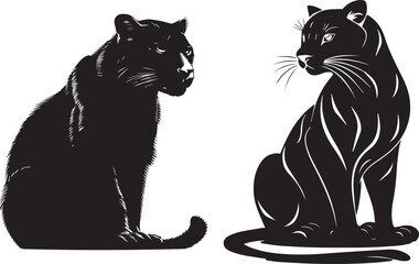 Two Black Silhouette Panther on a white background © Qurban Vector & Ai