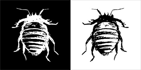 Illustration vector graphics of Buggys icon