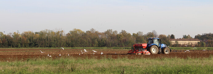 Trattore nel campo agricolo per arare il terreno per la successiva semina e gli uccelli fanno festa