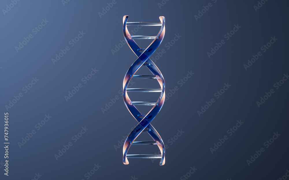 Wall mural dna with biological concept, 3d rendering.