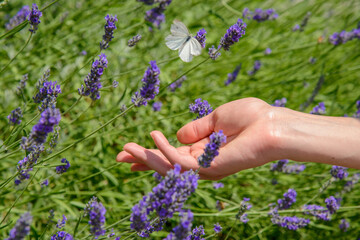 mano di donna con farfalla