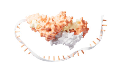 RNA and proteins with biological concept, 3d rendering.