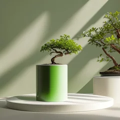 Schilderijen op glas green bonsai showcase © Thanathat