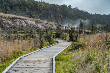 At Ha'akulamanu (Sulphur Banks), volcanic gases seep out of the ground, along with ground water steam. Hawaiʻi Volcanoes National Park.