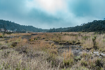 At Ha'akulamanu (Sulphur Banks), volcanic gases seep out of the ground, along with ground water...