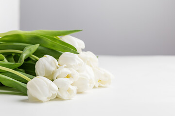 Elegant White Tulips Laid on a White Surface. Greeting Postcard