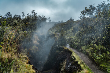 Hawaiʻi Volcanoes National Park. At Wahinekapu (Steaming Bluff), a short walk from the Steam Vents parking area, you can feel the breath of the volcano as hot water vapor billows from the earth. 