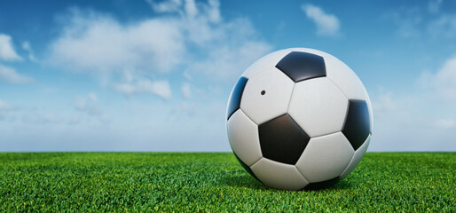 A soccer ball lies on the grass against the backdrop of a bright sky.