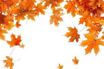 A group of orange maple leaves flying in the air. Perfect for autumn-themed designs