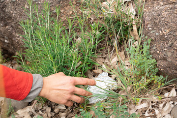 hand picking up garbage from nature.
