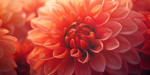 A close up of a bunch of orange flowers. Perfect for floral backgrounds - Powered by Adobe