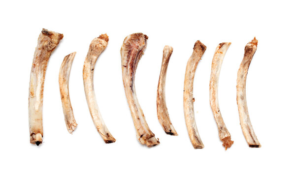 Bones after eating on a white background.