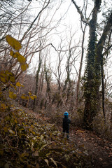 View of a Child walking in the woods