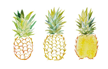 Hand painted watercolor illustration of pineapples, fruit, ananas, pineapple illustration, sweet food, dessert, vegetarian food, watercolor illustration