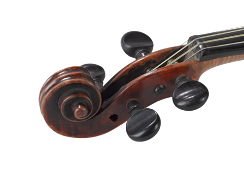 Head of violin against white background isolated with clipping path