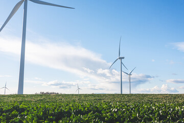 Wind farm on a cloudy sky and a green meadow. wind power, green energy, sustainable development.
