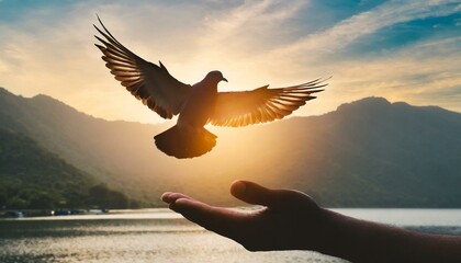 Freedom in Flight: Silhouette Pigeon Soaring from Two Hands