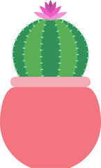 Cactus or succulent in flowerpot icon