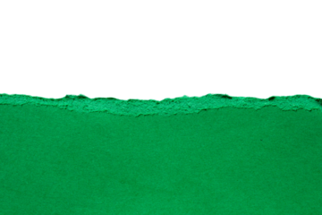 Green torn paper on transparent background