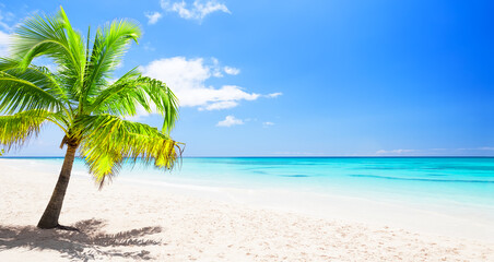 Beautiful tropical white sand beach and coconut palm tree in Punta Cana, Dominican Republic. - 747963292