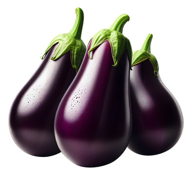 Fresh Aubergine png Eggplant png Brinjal png Baigan png Aubergine transparent background