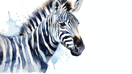 Fototapeta na wymiar Zebra watercolor illustration on a white background
