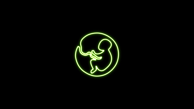 Human embryo and fontanel development. Glowing neon human fetus inside the womb. isolated illustration of early embryo sonogram with neon effect.