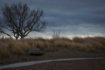 An early morning sunrise by the lake