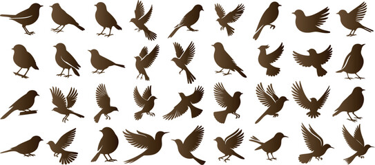 Bird silhouette, birds flying, perching, vector graphics, wildlife illustrations, ornamental designs. Ideal for educational materials, design elements, and art projects