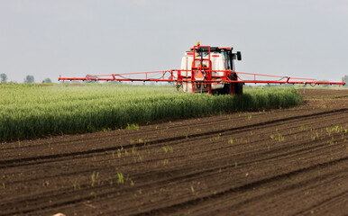 Fototapeta na wymiar Tractor spraying pesticides wheat field.