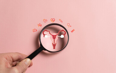 healthy female concept, uterus reproductive system, women's health, polycystic ovary syndrome, gynecological ovarian and cervical cancer. - obrazy, fototapety, plakaty